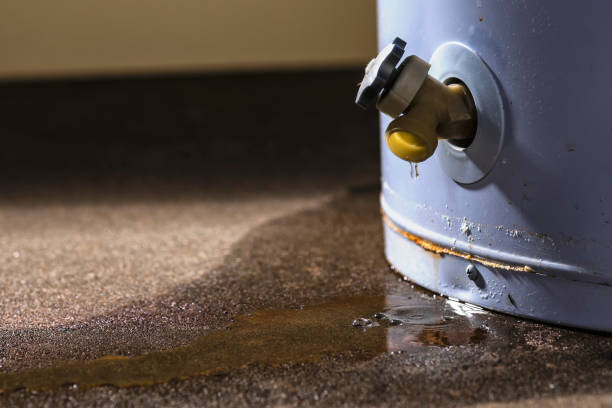 Best 24-hour water damage restoration  in Avilla, IN