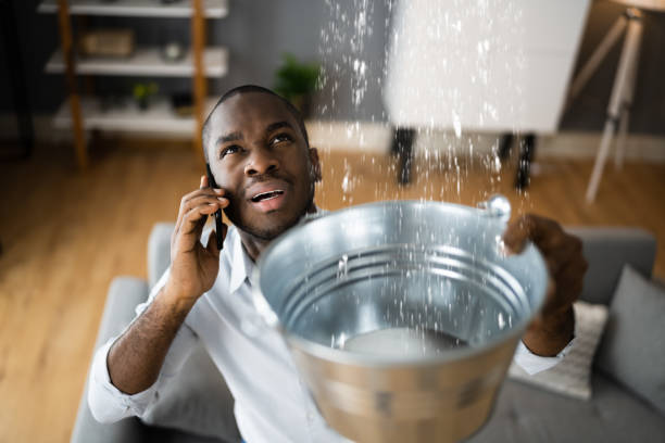 Best Water damage cleanup near me  in Avilla, IN