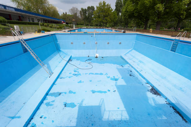 Best Basement water damage restoration  in Avilla, IN
