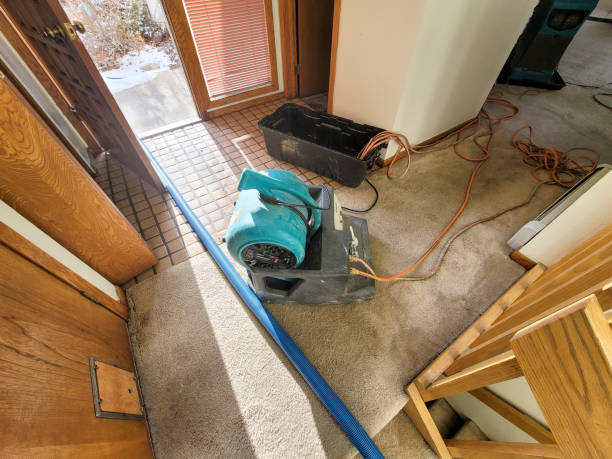 Best Water damage restoration near me  in Avilla, IN