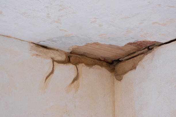 Best Flood restoration services  in Avilla, IN