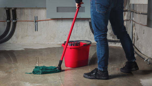  Avilla, IN Water damage restoration Pros