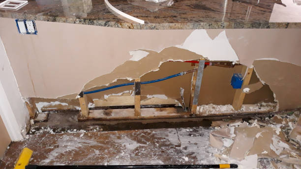 Best Fire Damage Restoration  in Avilla, IN