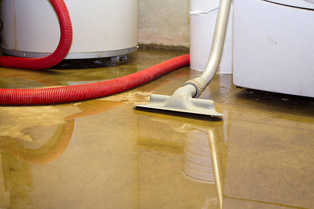 Water damage restoration experts in IN