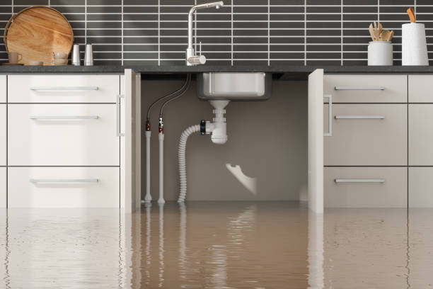 Best Water damage restoration near me  in Avilla, IN