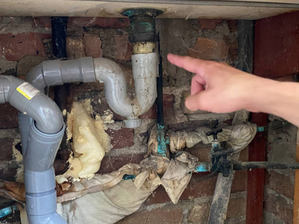 Best Mold removal after water damage  in Avilla, IN