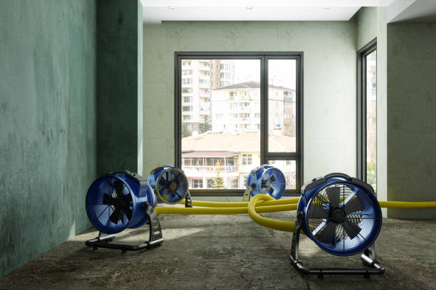 Sewage cleanup and water damage restoration in IN