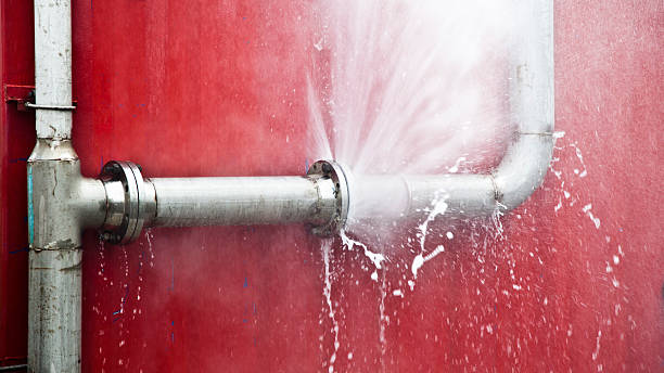 Best Professional water damage repair  in Avilla, IN